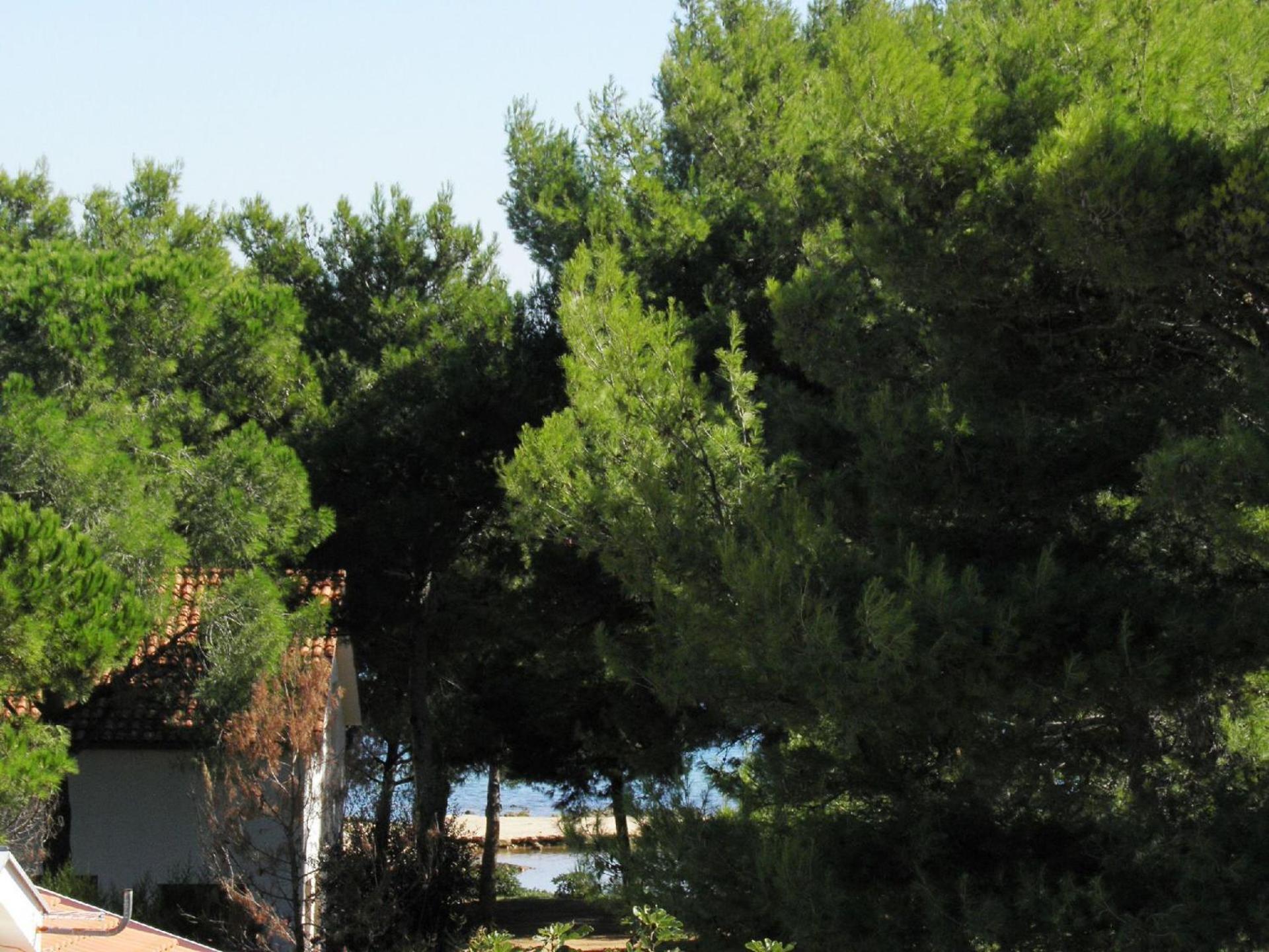 ויר Apartments Vink מראה חיצוני תמונה